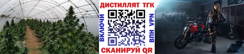 купить наркотики сайты  Алейск  маркетплейс состав  ТГК THC oil 