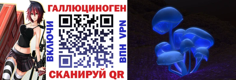 Псилоцибиновые грибы GOLDEN TEACHER  даркнет официальный сайт  Алейск 